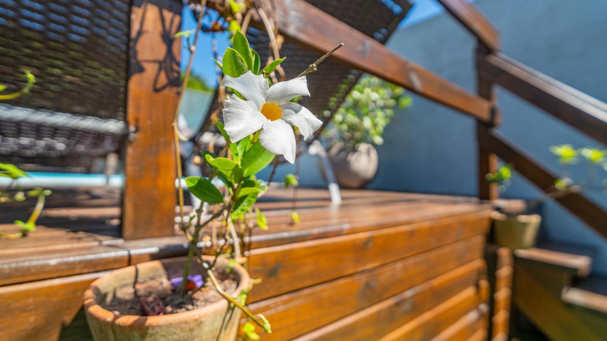 Residencial Com Piscina Possui Jacuzzi Aquecida Com Hidromassagem Villa Bombinhas Luaran gambar